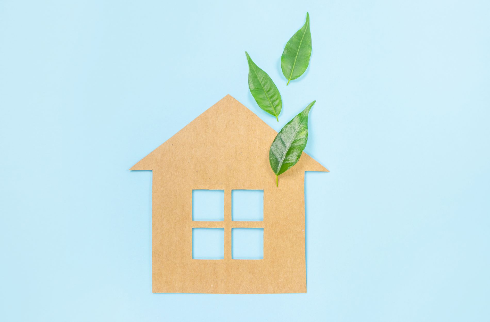 Experience a Cleaner, Fresher Home with VepoClean Hoboken’s Eco-Friendly Cleaning Services